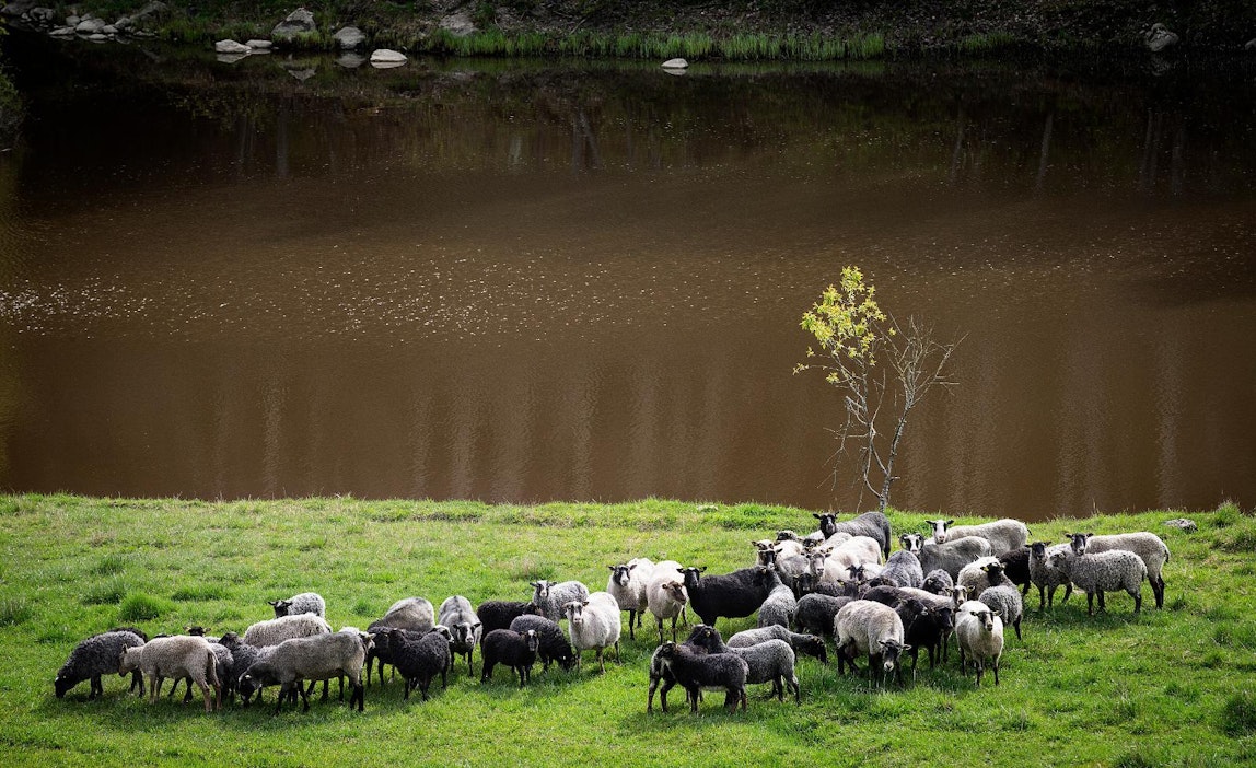 Kuvituskuva Varsinais-Suomesta.