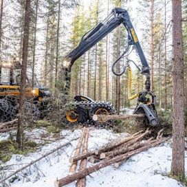 Metsäteollisuus ry:n jäsenyritykset ostivat puuta yksityismetsistä vuoden kahden ensimmäisen viikon aikana 1,1 miljoonaa kuutiometriä, mikä oli 17 prosenttia vähemmän kuin viime vuonna vastaavana aikana.