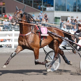 Joseph Boko voitti Kuopiossa viidennen kerran peräkkäin. Arkistokuvassa ruunan rattailla on valmentaja Markku Nieminen.