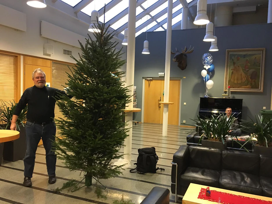 Kantrin kummikuusi on tiheä ja kaunismuotoinen, kun Micke Godfredtsen on hoitanut sitä kymmenen vuotta huolella.
