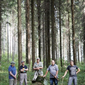 Komeaksi se kasvoi, tuumivat tätä metsää 67 vuotta sitten istuttaneet Veikko Hiltunen (vas.), Ossi Iiliäinen ja Aimo  Heinonen. Tyytyväisiä ovat myös kuusikon entinen ja nykyinen omistaja, Matti ja Pekka Naukkarinen.
