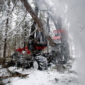 Lumipeite ohenee ja luminen aika lyhenee koko Suomessa ilmaston muuttuessa. Roudan katoaminen etelä- ja länsirannikolta hankaloittaa puunkorjuuta jatkossa nykyistä enemmän.