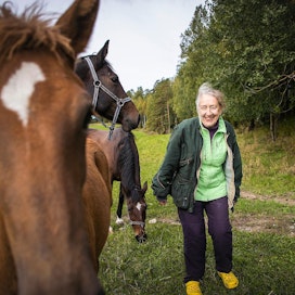 Anna Nordström on kasvattanut hevosia yli 50 vuotta. Etualan suomenhevosvarsa Erissana on syntynyt toukokuussa. Tammavarsan isä on kaksinkertainen ravikuningas  Erikasson ja emä 1.23,4-aikainen Salasana.