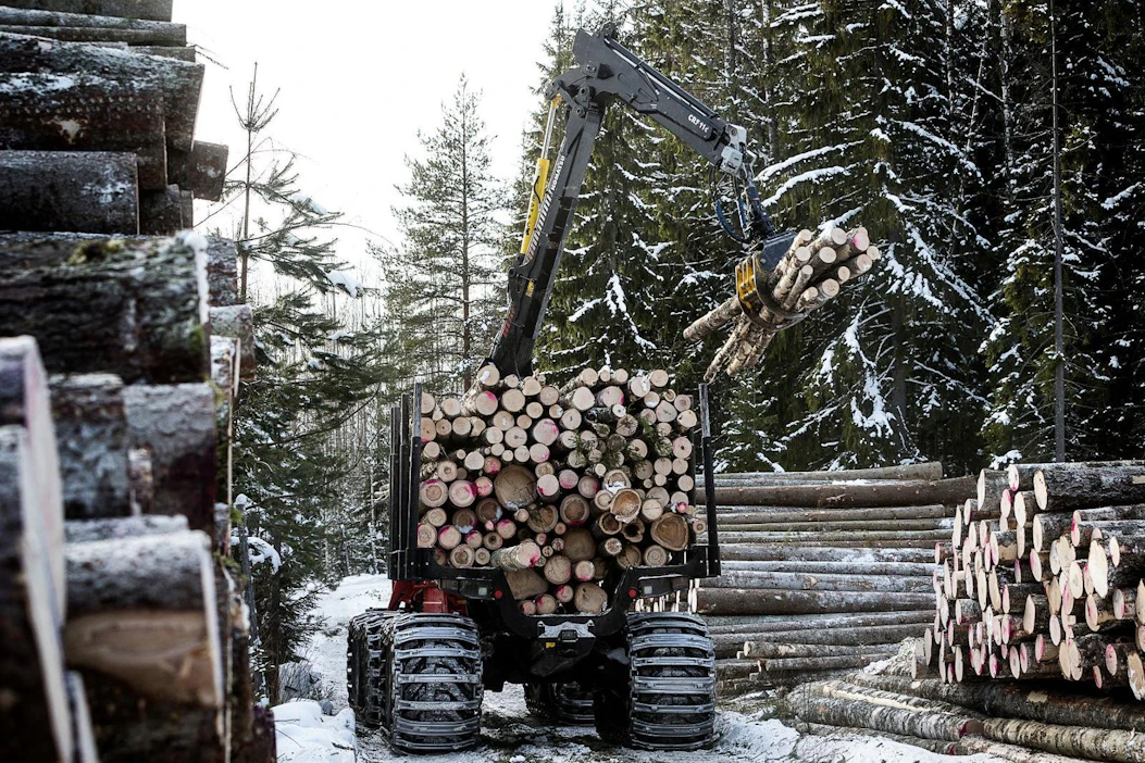 Luonnonmetsä-työryhmän mukaan valtio omistaa välittömän hakkuu-uhan alla metsiä, joiden kaltaisia samaan aikaan ostetaan suojeluun yksityisiltä omistajilta.