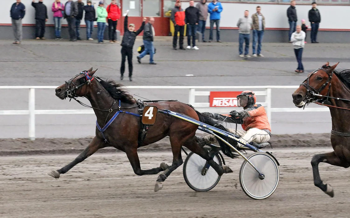 Uransa 61 kilpailussaan 26 kertaa voittanut Shadow Of Brisbane on Ravinetin luottohevonen Magic Mondayssa. Kuvassa se voitti T76-lähdön viime syyskuussa kotiradallaan Turussa.