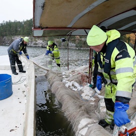 Särkikaloja nuotattiin Lahden Vesijärvellä vuonna 2016 ravinteiden poistamiseksi. Tulevaisuudessa saalismäärien toivotaan kasvavan ja kalojen päätyvän ihmisten lautasille.