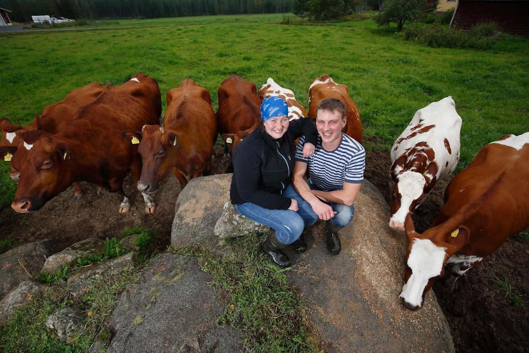 Terhi ja Hannu Manninen ovat maidontuottajia Keuruulta.