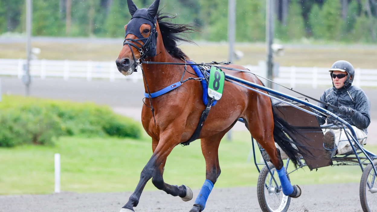 Tässä Borgmesterin rattailla istuva Tero Pohjolainen on kypsynyt hitaasti legendaarisesta hevosperheestä ammattivalmentajaksi.