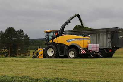 New Holland FR550 -ajosilppuri on tehokas korjuukone.
