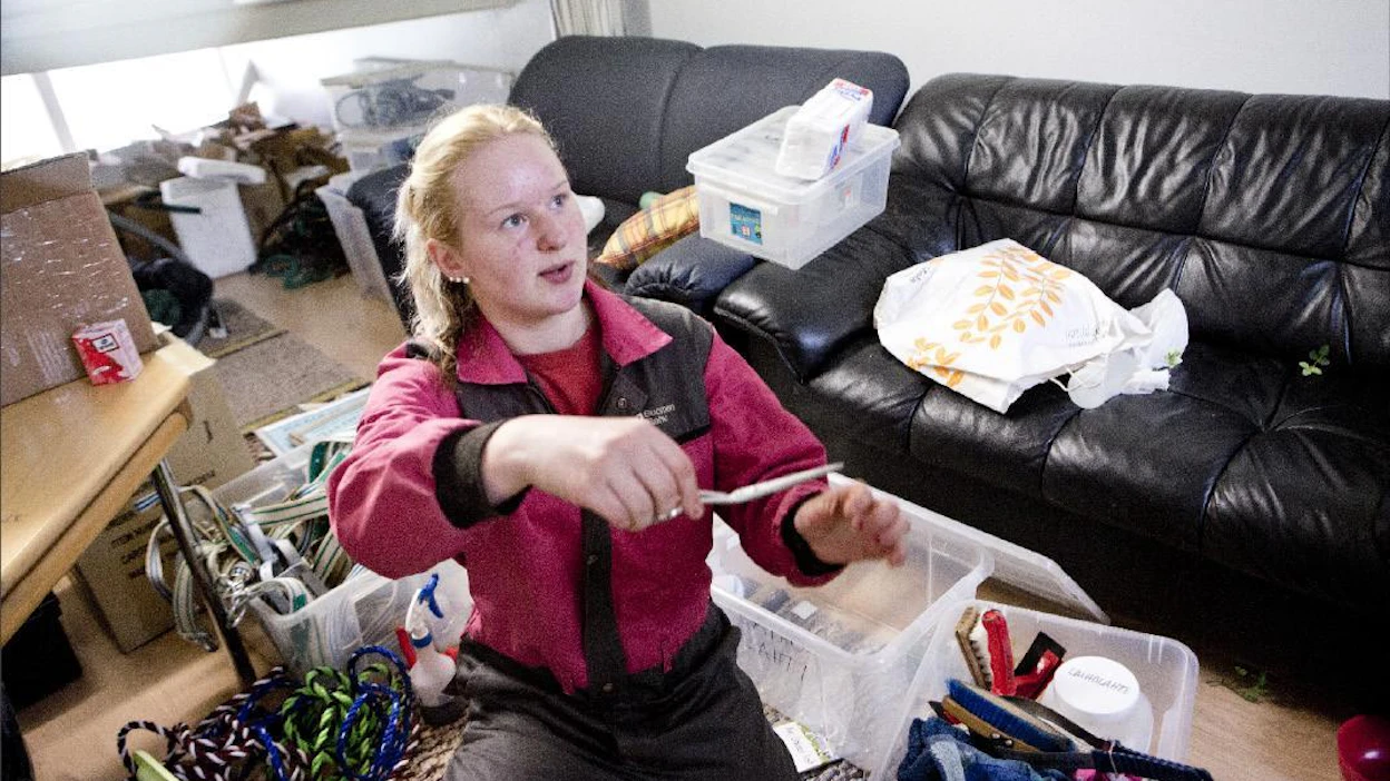 Lilli Laiholahti esitteli näyttelyssä tarvittavia varusteita maanantaina kotonaan ennen lähtöä Oripäähän. Saksilla viimeistellään eläimen selkälinja. Ville-Petteri Määttä