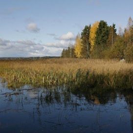 Aurinkoinen syysmaisema Hämeenkyrössä Pirkanmaalla. Länsi-Suomessa meri kyllä vaikuttaa säähän, mutta miten?