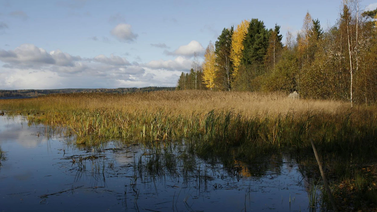 Aurinkoinen syysmaisema Hämeenkyrössä Pirkanmaalla. Länsi-Suomessa meri kyllä vaikuttaa säähän, mutta miten?