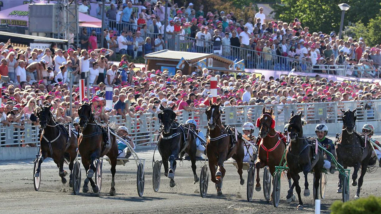 Elitloppetista voi nauttia tänäkin vuonna toukokuun lopussa, mutta kuva on erilainen - yleisö puuttuu. Tässä versiossa Ringostarr Treb on etenemässä keulassa elitloppetvoittajaksi vuonna 2018. Rattailla on Wilhelm Paal, valmentajana Jerry Riordan ja hoitajana suomalainen Heli Tarrimaa.