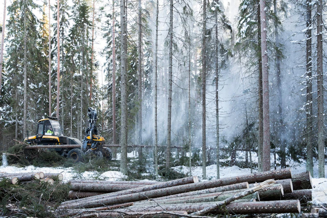 Stora Enso tutki polttoaineen kulutusta 500 puunkorjuutyömaalla viime ja tänä vuonna. Polttoainetta kului saman verran kuin ennenkin, mutta konekohtaisessa kulutuksessa on isoja eroja.