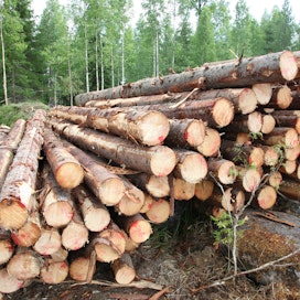 Metsänomistaja päättää, kelle hän puunsa myy, jos myy lainkaan.