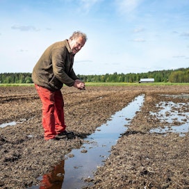 Nurmijärveläisen Hannu Toikan pellolla vettä on runsaasti.