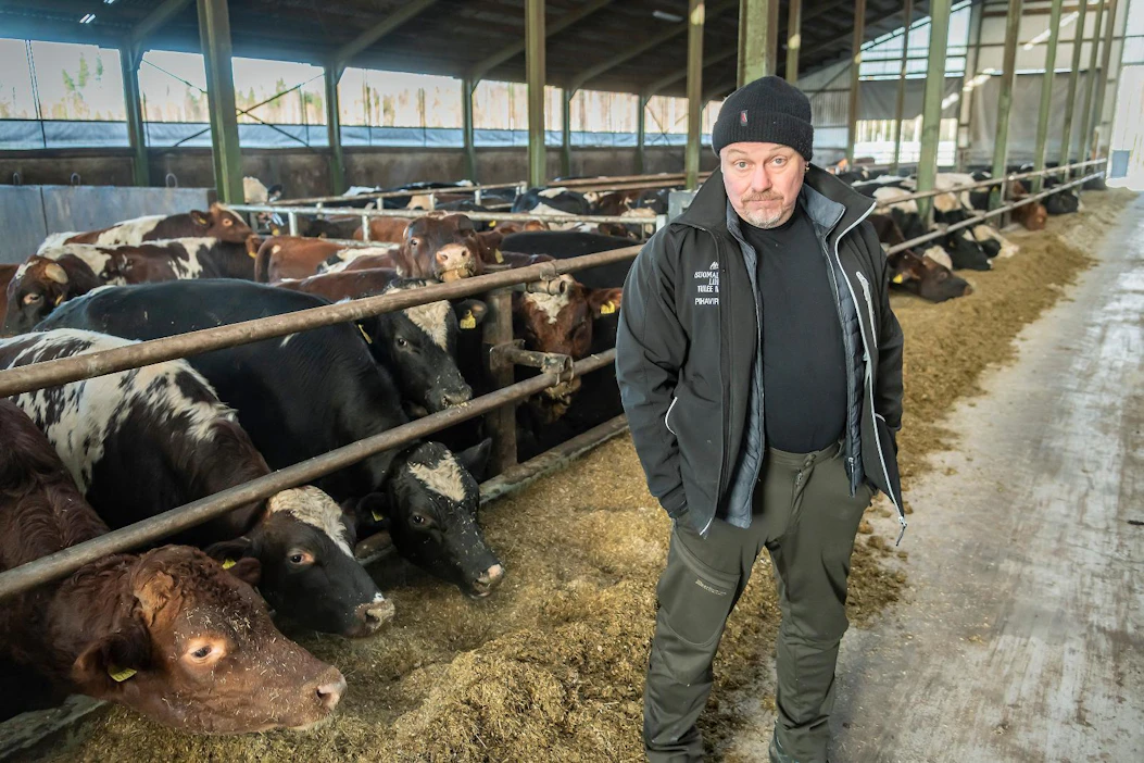 Jalasjärveläinen naudanlihantuottaja Ahti Ritola on toiminut kolme vuotta Itikka osuuskunnan hallituksen puheenjohtajana. Osuuskunta on Atria Oyj:n suurin omistaja.