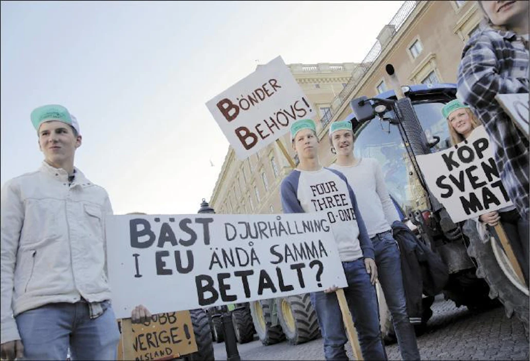 Ruotsalaisten tuottajien etujärjestö LRF järjesti Tukholmassa viime viikolla mielenosoituksen, jolla heräteltiin sekä kuluttajia että päättäjiä. Viljelijät näkyivät katukuvassa julisteineen myös Kuninkaanlinnan liepeillä. Johanna Norin