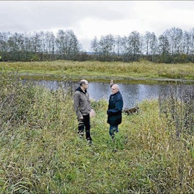 Ville Virrankoski (vas.) ja Markku Kankaanpää katsovat, että Alajoen viljelyslakeuden maatalousalue ei vaadi erityistä luonnonsuojelua, vaan Ämpin silta teineen voidaan rakentaa Lapuanjoen yli. Esko Keski-Vähälä
