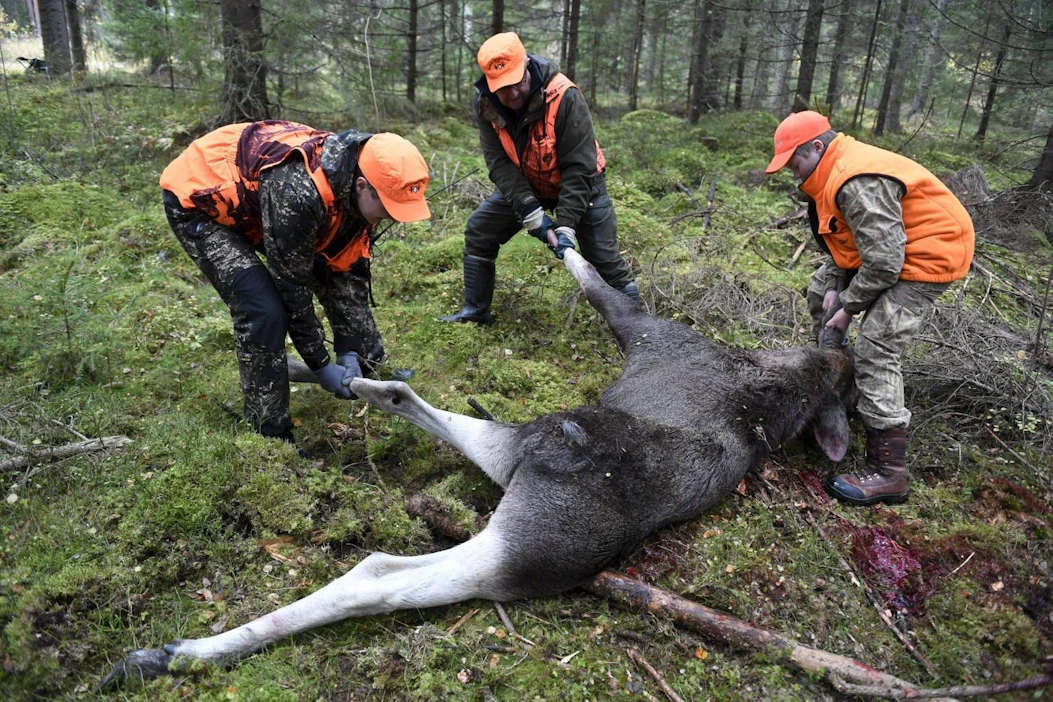 Suomen metsästäjäliiton järjestöpäällikkö Teemu Simenius näkee takavuosien aselain muutoksen osaltaan vaikuttaneen metsästäjien keski-iän nousuun. LEHTIKUVA / JUSSI NUKARI