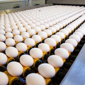 Kuorimunien kulutuksen arvioidaan kasvavan tänä vuonna noin kolme prosenttia.