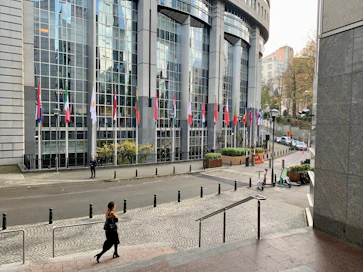 EU:n ennallistamisasetus on kovassa vastatuulessa Euroopan parlamentissa.