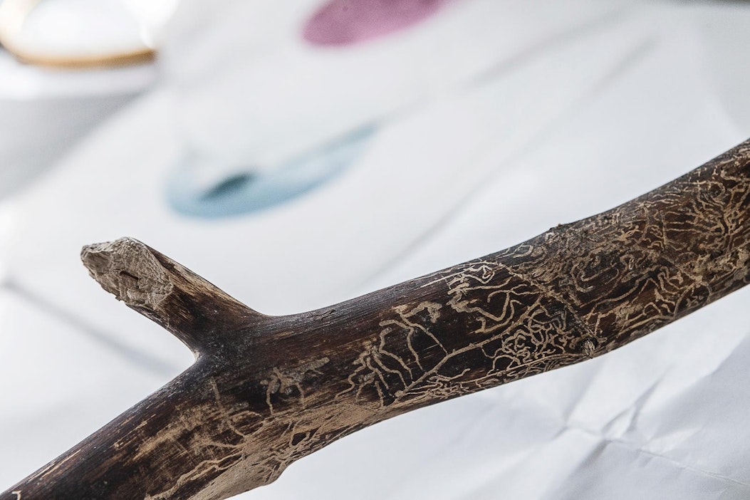 Kirjanpainajatyöt saavat muotonsa puupiirrostekniikalla.