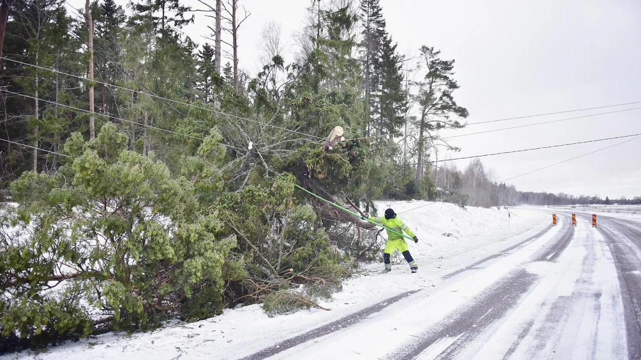 Tuulet ovat heikkoja kaikilla maa-alueilla, eikä sään aiheuttamista uusista sähkökatkoista ole riskiä.
