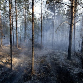 Oulun poliisin mukaan palonsyyntutkinnassa ei ole tullut ilmi seikkoja, joiden vuoksi asiassa olisi syytä epäillä rikosta. Kuva vuoden 2018 Pyhärannan metsäpalosta.