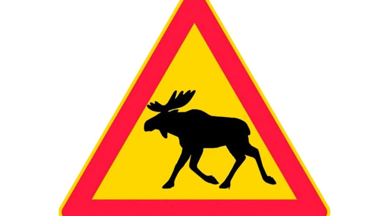 Riistaonnettomuuksia on sattunut vuosi vuodelta enemmän. Hirvikolareita on kirjattu tänä vuonna kuitenkin edellisvuosia vähemmän.