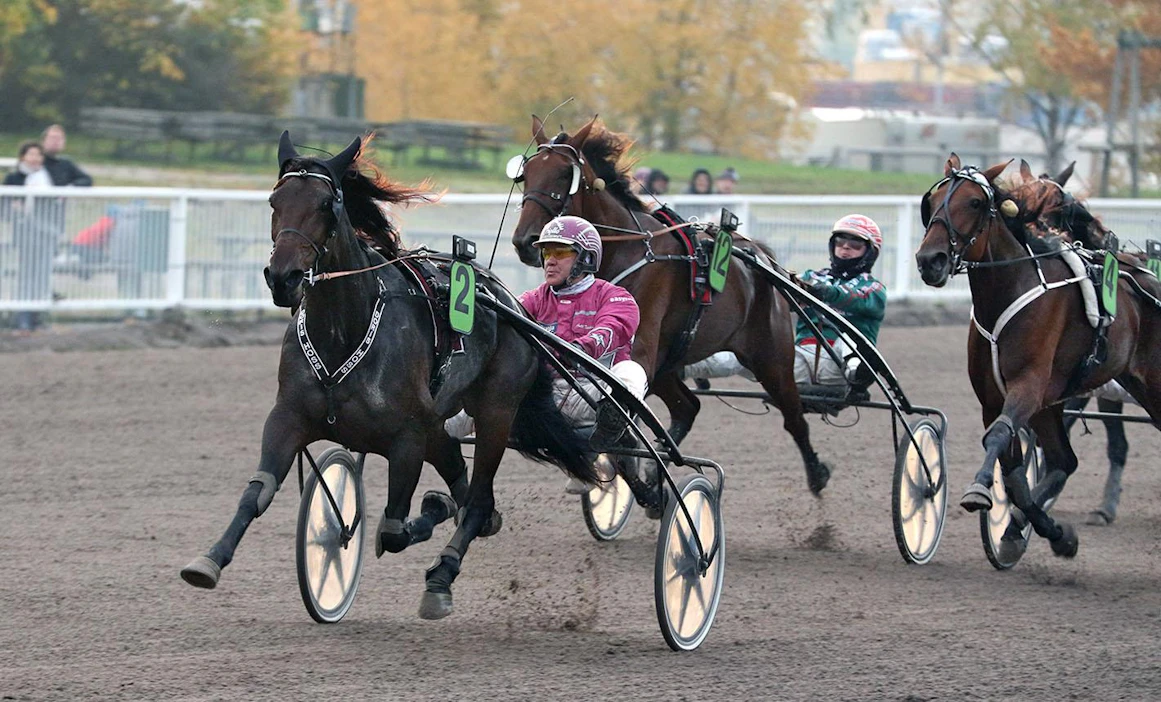Doris Hossin tähtihetki oli viime syksyn Tammachampionissa, josta se nappasi 15000 euron arvoisen ykkössijan.