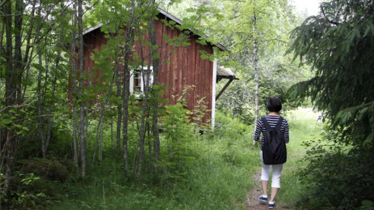 Maisemareitti kulkee välillä vehreää metsäpolkua pitkin. Katriina Koski näyttää tietä. Jaana Kankaanpää