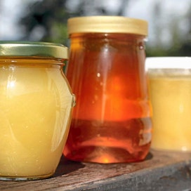 Viime satokaudella suomalaiset mehiläiset tuottivat hunajaa 1,6 miljoonaa kiloa.