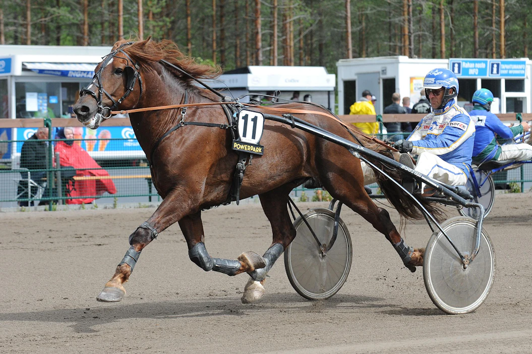 Rågerin aloitus Jouni Miettiseltä oli mykistävä. Se voitti kahden kuukauden aikana kaikki laukattomat starttinsa - kuusi kymmenestä.