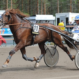Rågerin aloitus Jouni Miettiseltä oli mykistävä. Se voitti kahden kuukauden aikana kaikki laukattomat starttinsa - kuusi kymmenestä.