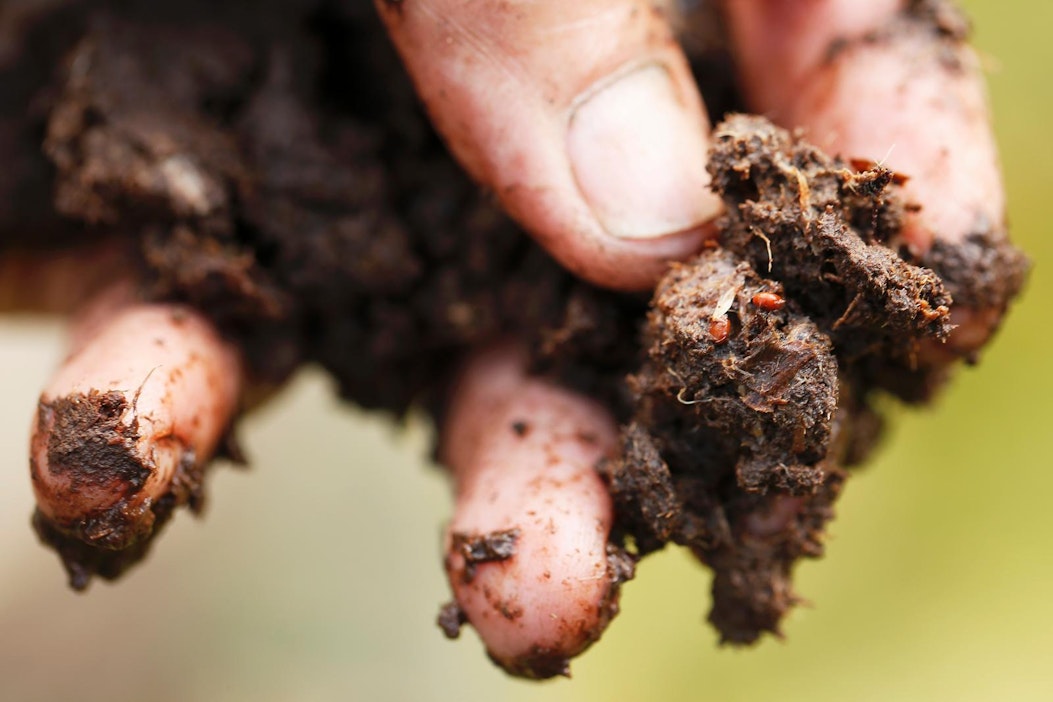 Turve aiheuttaa kirjoittajan mukaan monia ongelmia päätyessään vesistöihin.