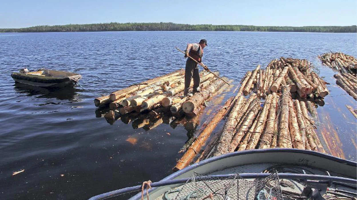 Puutavaralautta muodostuu nippu kerrallaan. Yhdeltä palstalta puuta kertyy yleensä muutama sata kuutiometriä. Hinausta varten lautat kootaan yhteen, jolloin puuta kulkee tehtaalle jo tuhansia kuutioita kerralla.