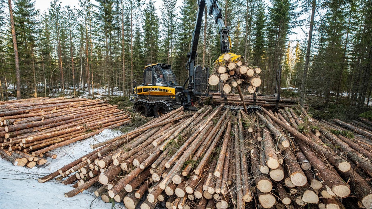 Viime vuonna Suomesta korjattiin 62,8 miljoonaa kuutiota puuta. Suurin ylläpidettävissä oleva hakkuumäärä tulevan 10 vuoden aikana on Luken arvion mukaan 80,5 miljoonaa kuutiota.
