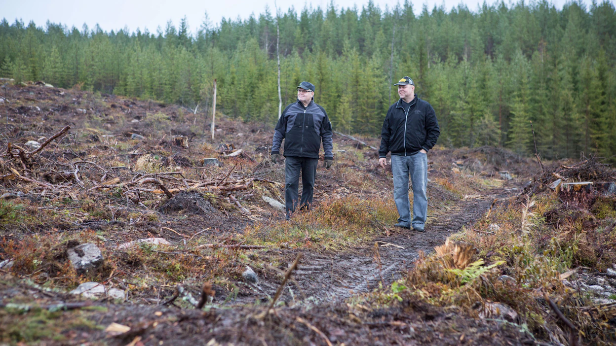 Hakkuiden suunnittelua helpottaa se, että kaikkien metsänomistajien metsäsuunnitelmat ovat ajan tasalla.