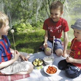 Serkukset Aarni, Roope ja Rasmus dippaavat uusia perunoita ja tomaatteja muna-kermaviilikastikkeeseen harsomajan suojassa. Jaana Kankaanpää