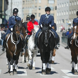 Turusta Helsinkiin muuttava poliisihevonen päässee jatkossa mukaan myös pääkaupungin hevosparaateihin.