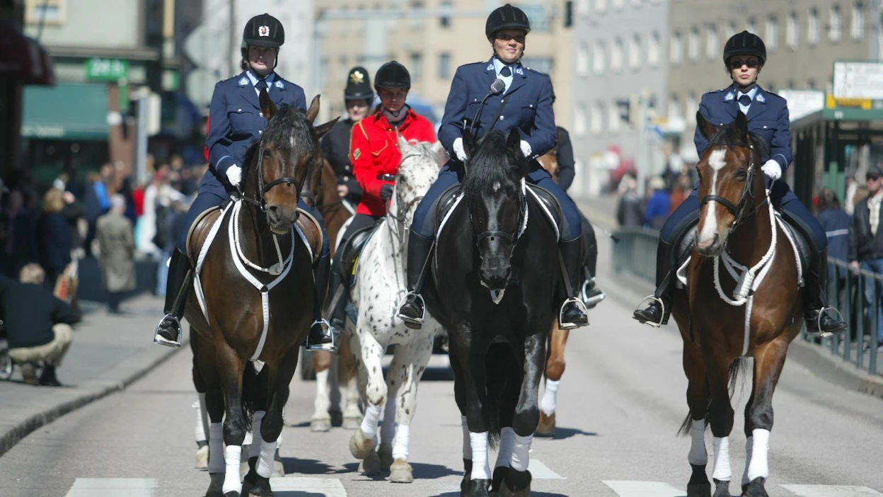Turusta Helsinkiin muuttava poliisihevonen päässee jatkossa mukaan myös pääkaupungin hevosparaateihin.