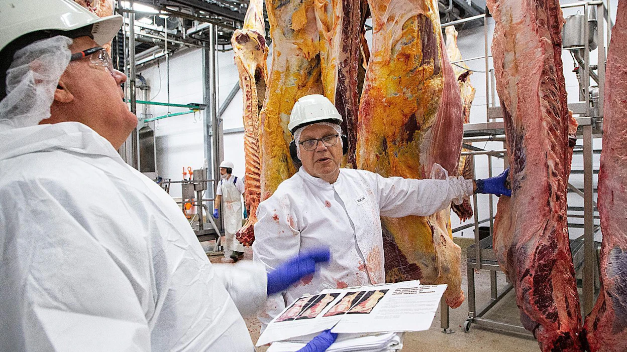 Markku Niemistö (vas.) käy valvontakäynnillään läpi Aarno Peltolan tekemät luokitukset. Peltola on alallaan yksi Suomen parhaista, Niemistö kehuu.
