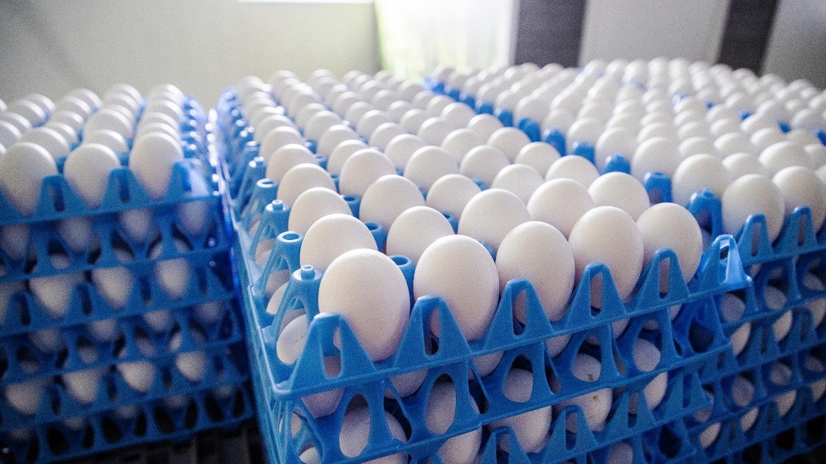 Tuotannon hieman laskiessa ja kulutuksen kasvaessa kananmunien omavaraisuusaste laskee viime vuoden 116 prosentista parilla prosentilla, ennustaa Kantar TNS Agri.