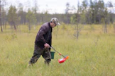 Kalevi Remes poimi tänä kesänä toistasataa kiloa hillaa. Kun karpalot kypsyvät, marjapoimuri pääsee taas töihin.