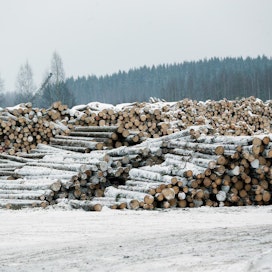 Stora Enso yrittää korvata venäläisen tuontipuun kotimaisella puulla.