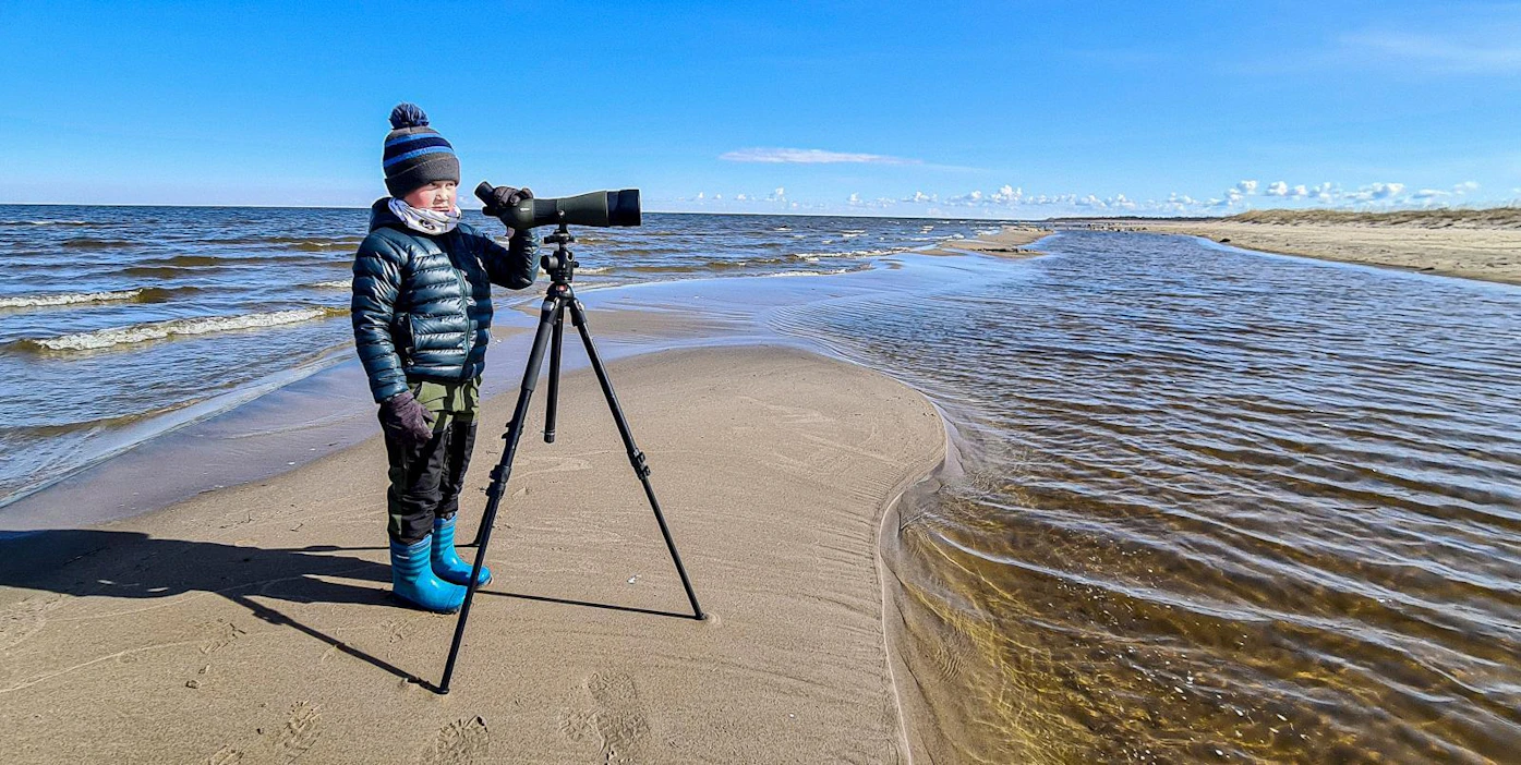 Veikka Meski seurasi lintujen muuttoa Hailuodossa Pohjois-Pohjanmaalla toukokuun lopulla.