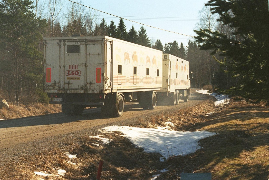 Kuvan eläinkuljetusauto ei liity tapaukseen.