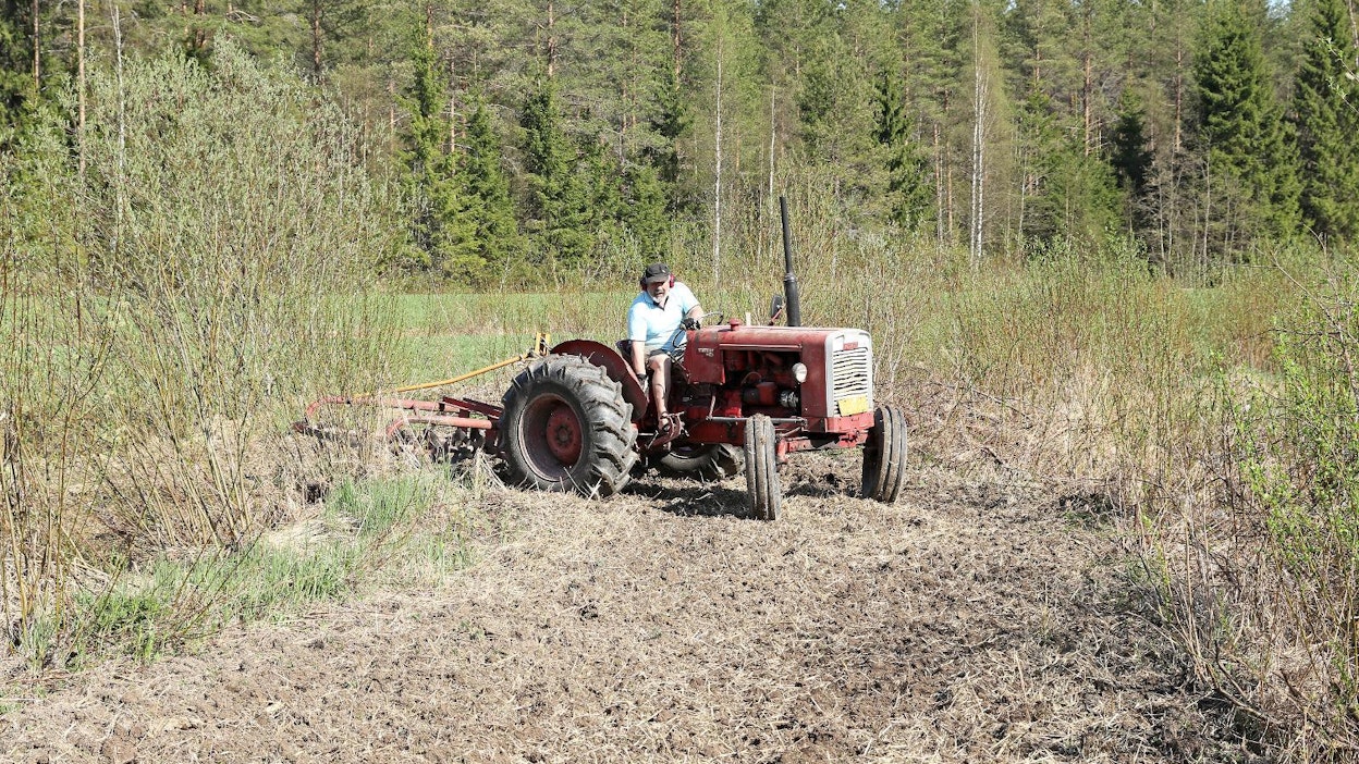 1960-luvun traktorillakin riistapellot ja perunamaat muokkaantuvat riittävän tehokkaasti. Talossa olisi tuoreempikin nelivetotraktori, mutta jostain syystä kevään perinteisiin kuuluu riistapellon äestäminen kopittomalla.