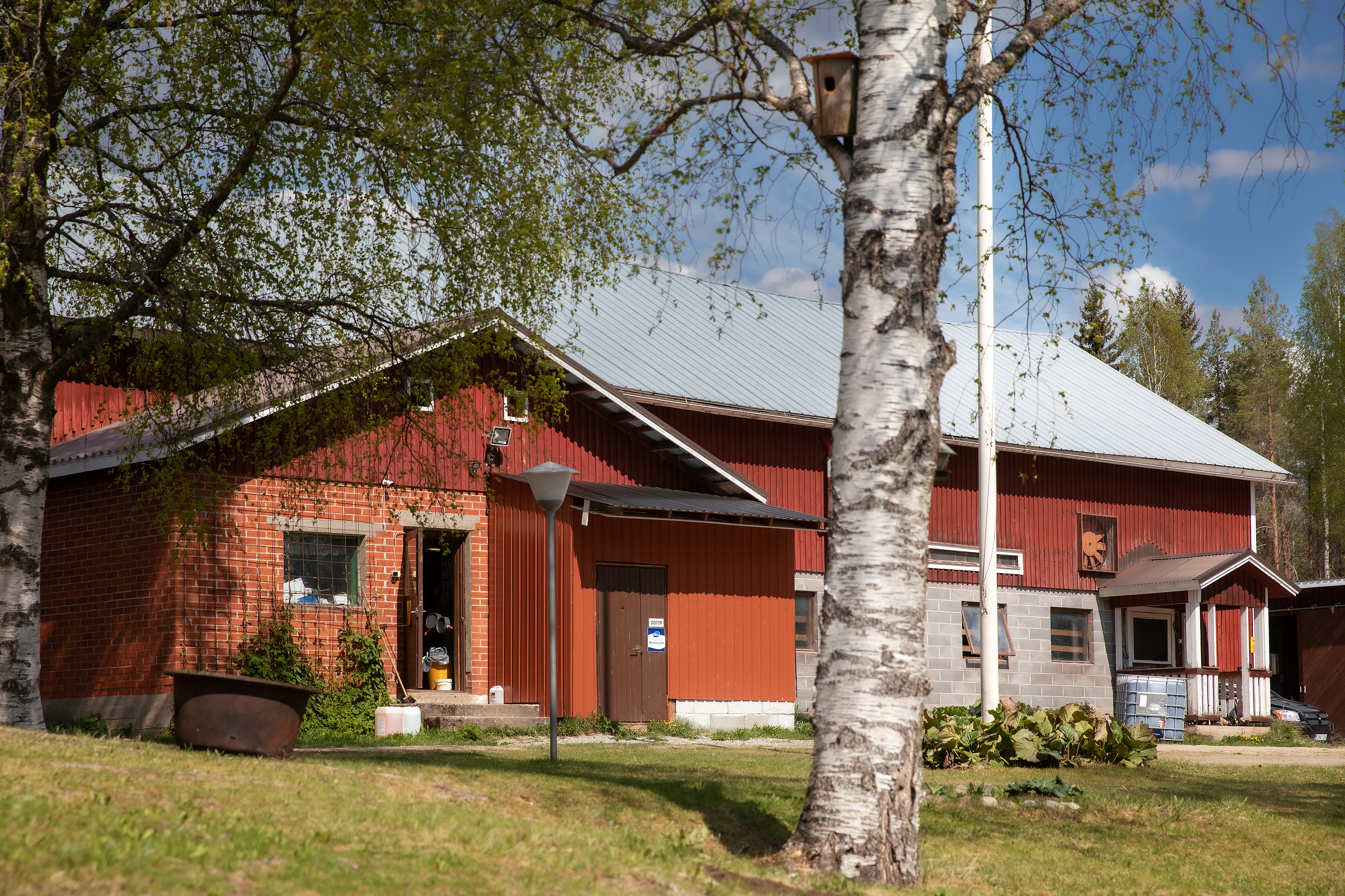 Tämä maitotila Nurmeksen Valtimolla sai uudet yrittäjät perheen ulkopuolelta. Työ navetassa jatkui katkeamatta. 